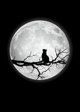 Moon Full Moon Cat 