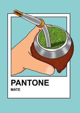 Mate argentino