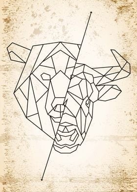 Polygonal Bull Bear