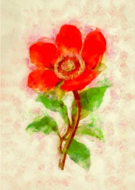 Red Flower