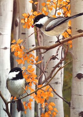 Birds in the Birch
