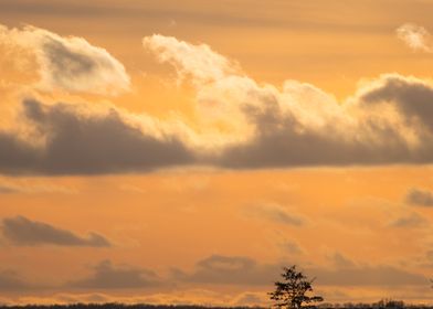 Cloudscape in the winter