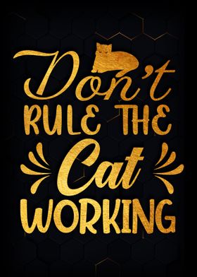 Dont Rule The  Cat Work