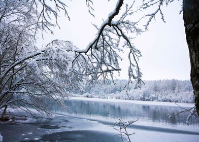 Lac Du Petit Maclu du Jura