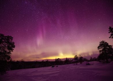 Purple Skies Aurora