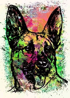 Colorful dog