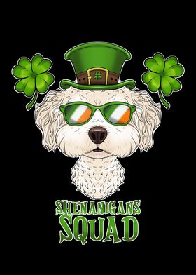 Bichon Frise St Patrick