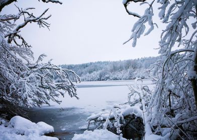 Lac Du Petit Maclu du Jura