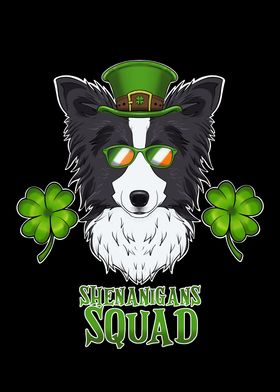 Border Collie St Patricks