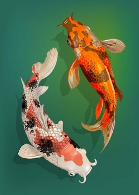 koi