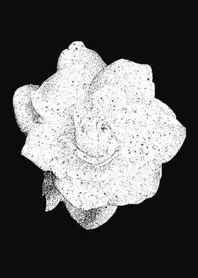 Pointillist Rose 