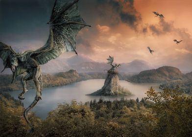 The wild Dragons