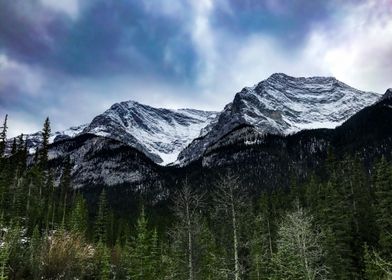 Mountain Landscape