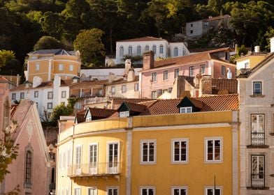 Rooftops of Sintra