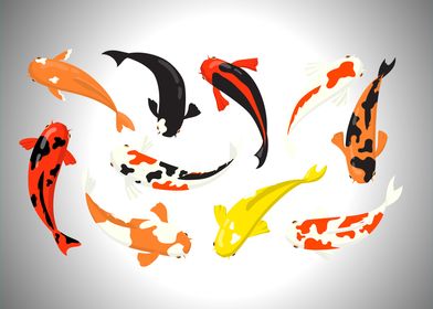 koi