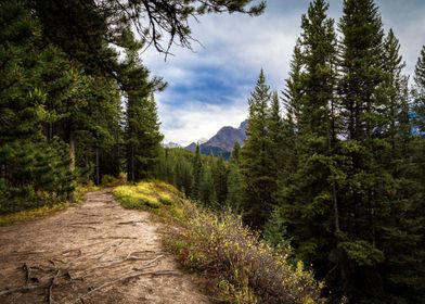 Natures Pathway