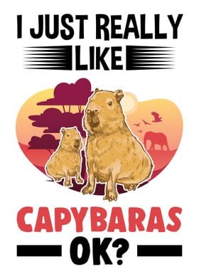 'I Just Really Like Capybar' Poster by FavoritePlates | Displate