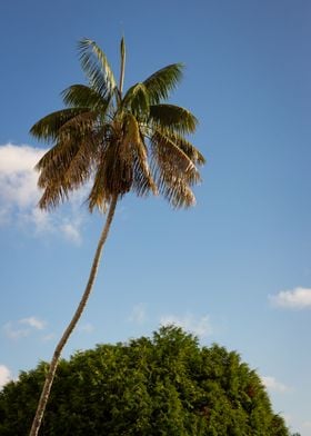 Reaching into the Blue