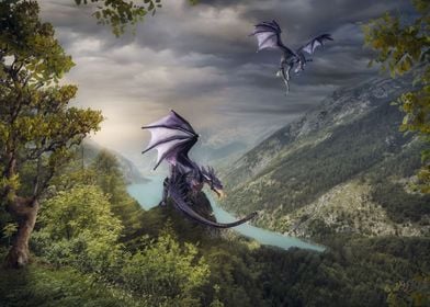 The wild Dragons