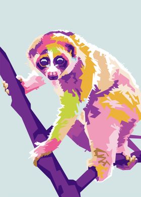 Slow Loris in Colorful