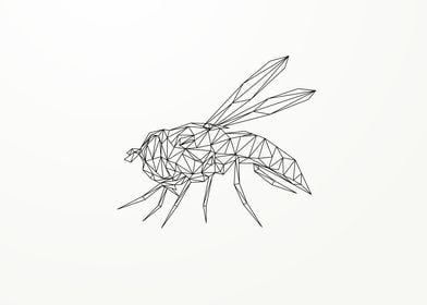 Hornet Wireframe