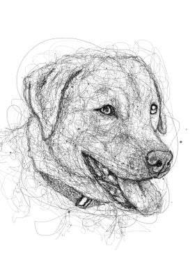 labrador dog scribble art