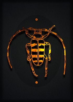 Golden Bug art