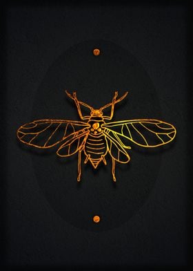 Golden Bug art