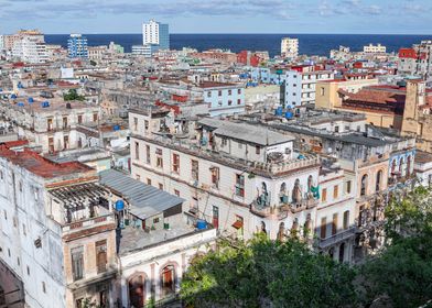 Havana Rooftops