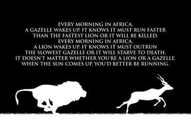 Just Run Lion Gazelle