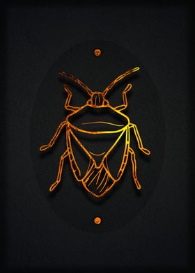 Insect Bug