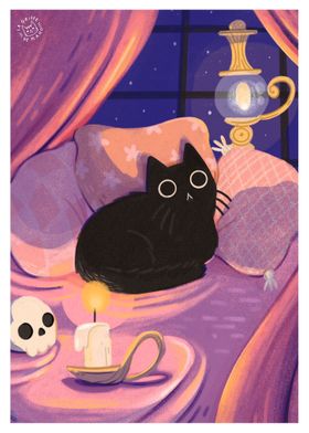 Evening of a Black Cat