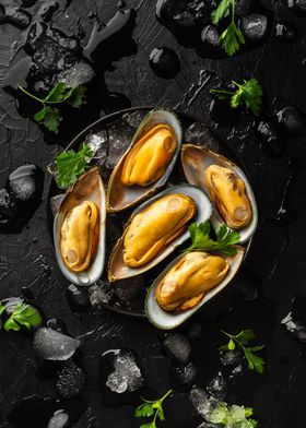 Seafood Fresh mussels