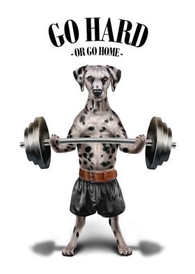 Dalmatian Dog Weightlift