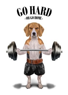 Beagle Dog Weightlifting