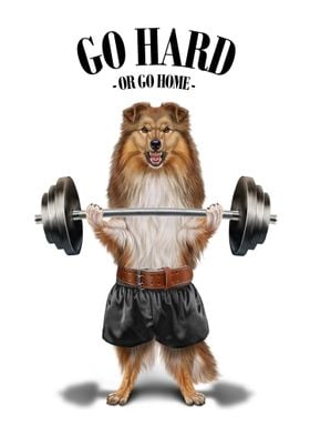 Sheltie Dog Weightlifting