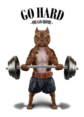 American Bully Weightlift