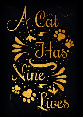 A cat has nine lives 