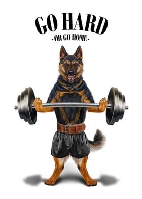 German Shepherd Weightlift