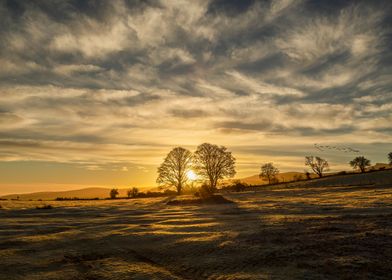 Golden Brecon sunrise