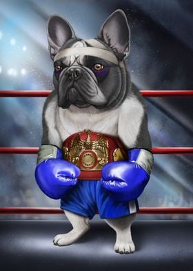 French Bulldog Boxing