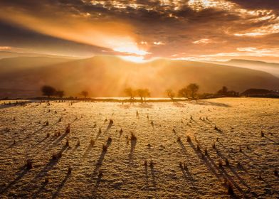 Long early morning shadows