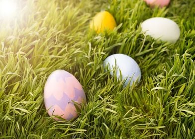 easter eggs in the grass