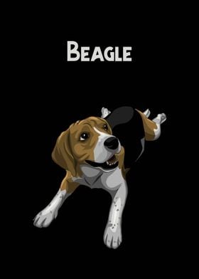 Beagle