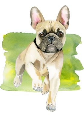 Cute Dog WWatercolor