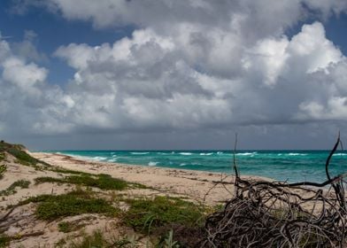 Natural Beach in Sian Kaan