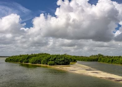 Mangroves of Sian Kaan