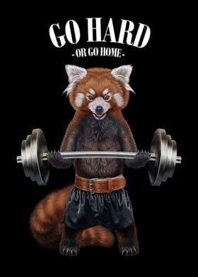 Red Panda Weightlifting