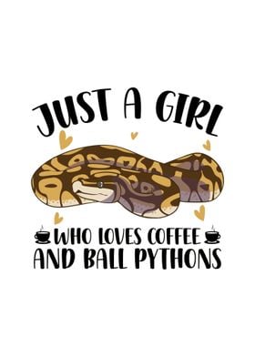 Ball Python Snake Pet Gift