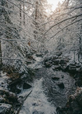 River in a snowy forest
